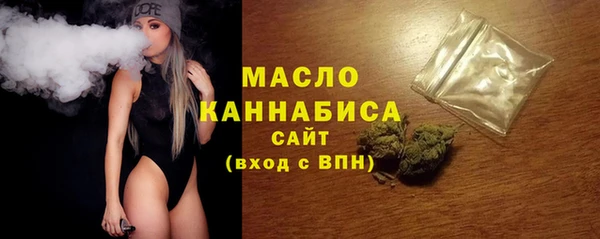 индика Козельск
