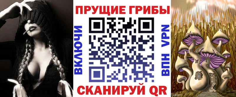 Галлюциногенные грибы мицелий  продажа наркотиков  Вяземский 